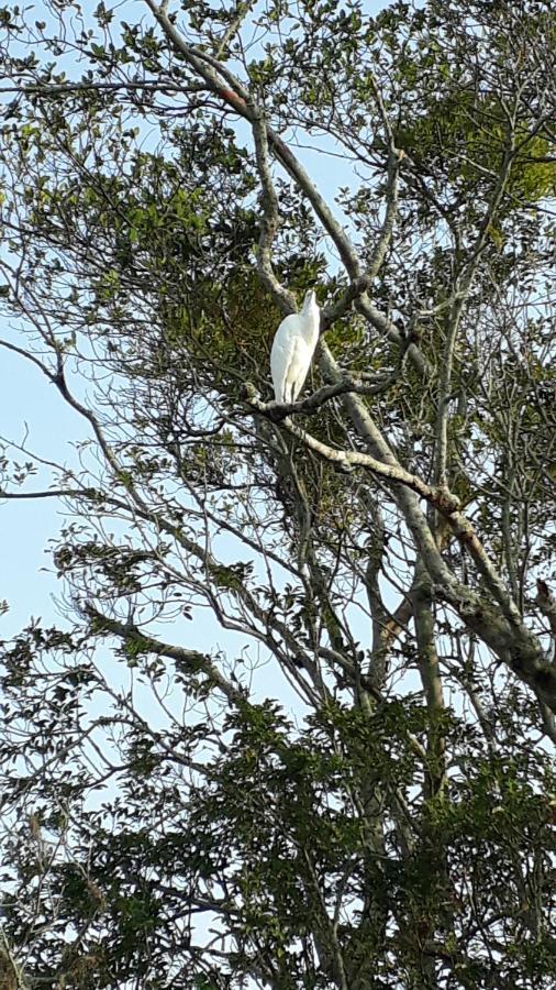 Hotel Casa Chale 10 Florianópolis Zewnętrze zdjęcie